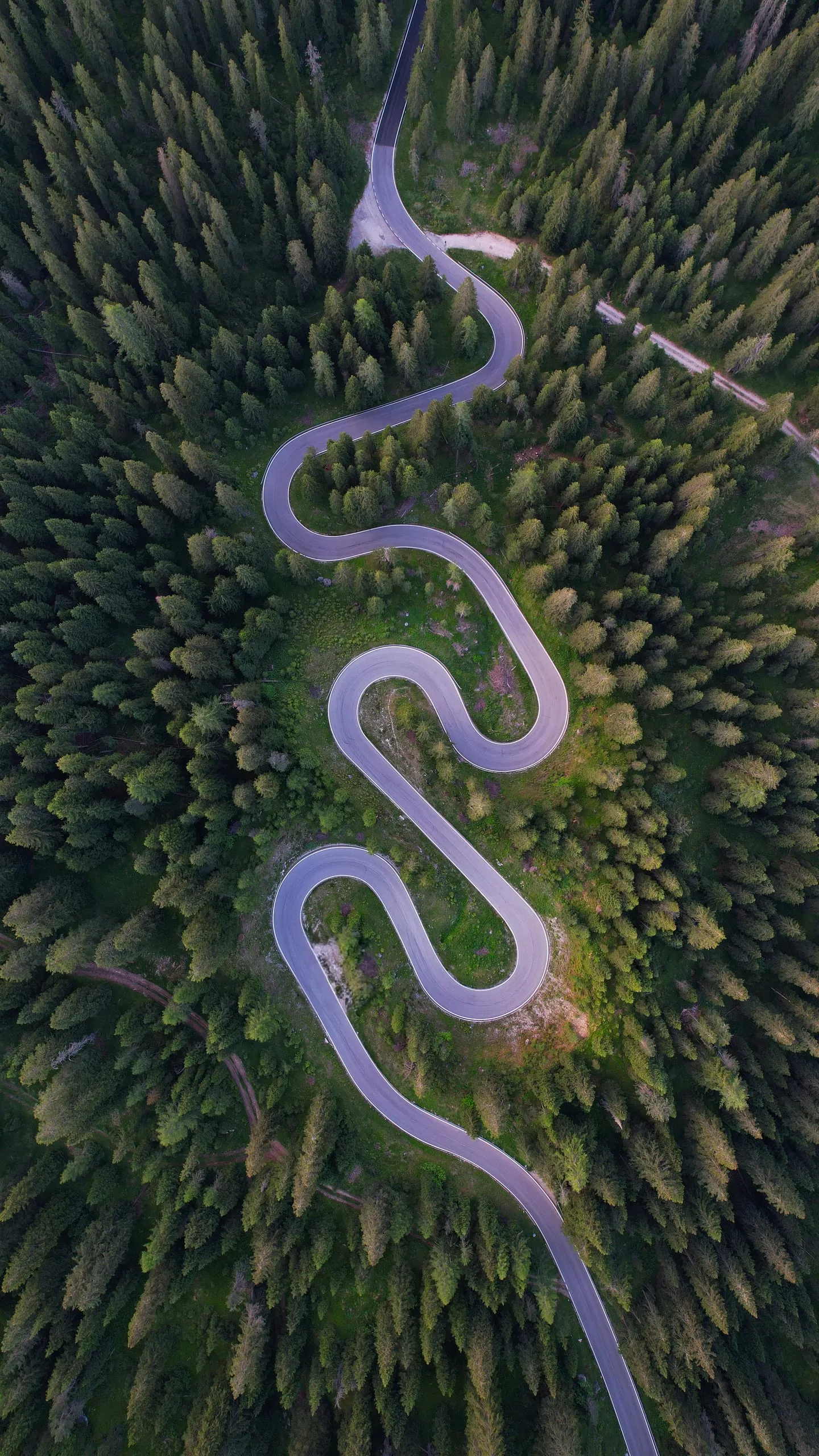 Serpentiny silnice na Passo Giau ve smrkovém lese, kolmý pohled shora